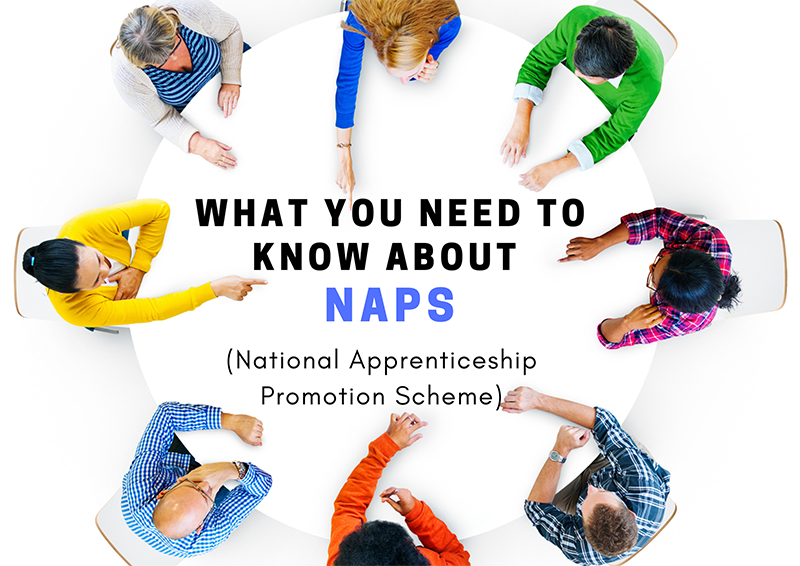 NAPS (National Apprenticeship Promotion Scheme)